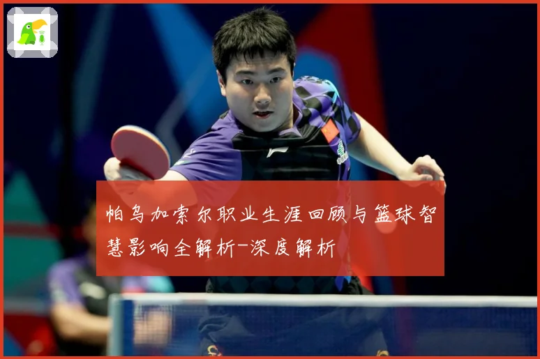 帕乌加索尔职业生涯回顾与篮球智慧影响全解析-深度解析