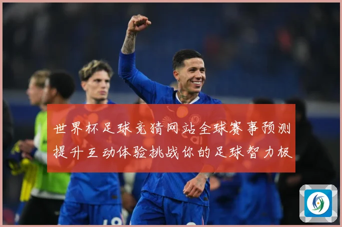 世界杯足球竞猜网站全球赛事预测提升互动体验挑战你的足球智力极数据研判-深度解析